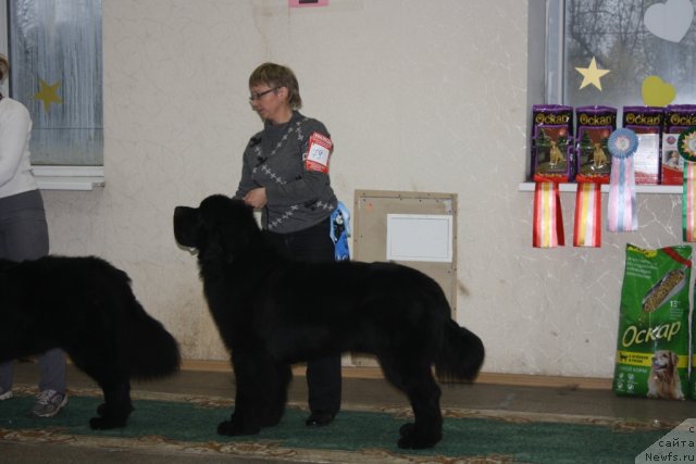 Фотография № 108265