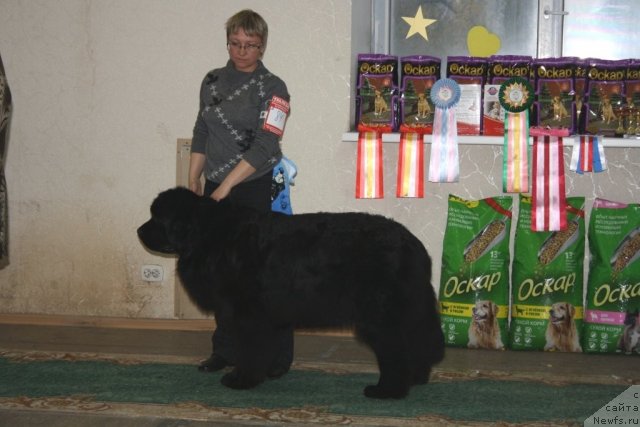 Фотография № 108266