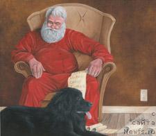 Фотография № 10829