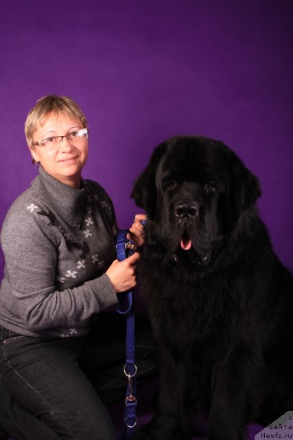 Фото: Elena Kuz'mina (Елена Кузьмина), ньюфаундленд Beguschaya po Volnam Zero Kool (Бегущая по Волнам Зеро Коол)