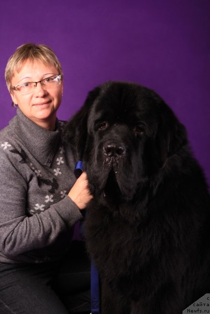 Фото: Elena Kuz'mina (Елена Кузьмина), ньюфаундленд Beguschaya po Volnam Zero Kool (Бегущая по Волнам Зеро Коол)