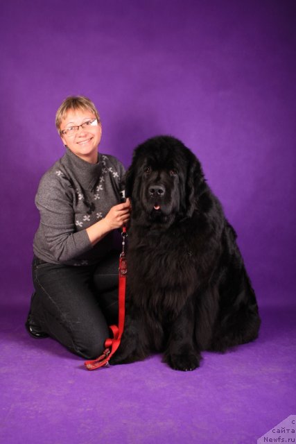 Фотография № 108311