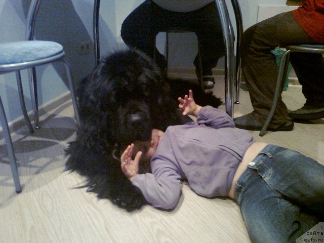 Фото: Пчёлкин дом Вениамин