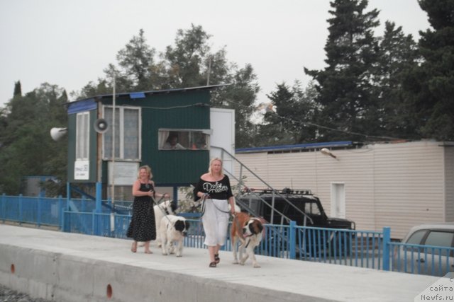 Фотография № 108399