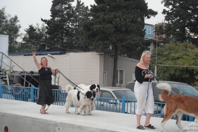 Фотография № 108400