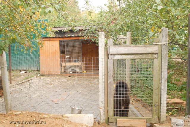 Фотография № 108434