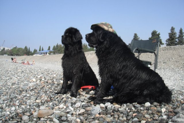 Фотография № 108435