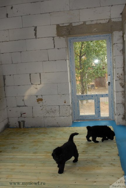 Фотография № 108437