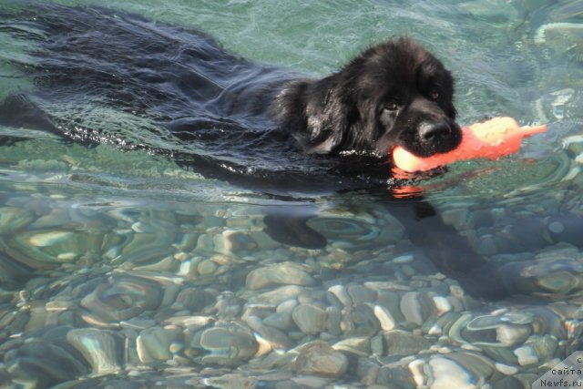 Фотография № 108443