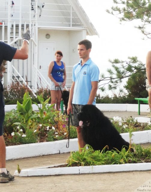 Фотография № 108460