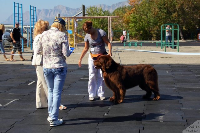 Фотография № 108462