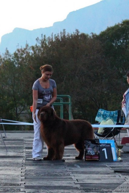 Фотография № 108468