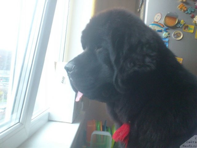 Фотография № 108470