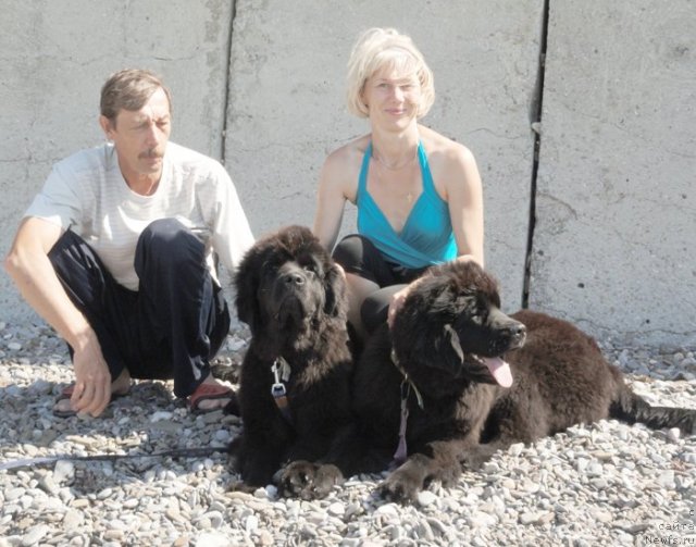 Фотография № 108486