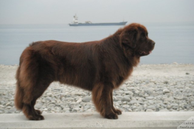 Фотография № 108490