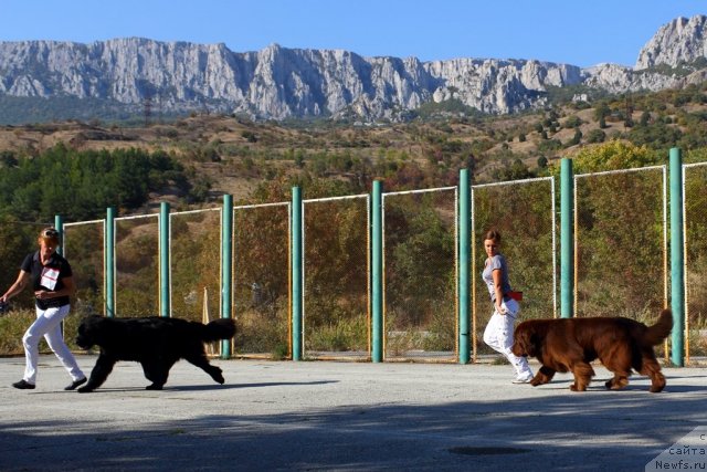 Фотография № 108498