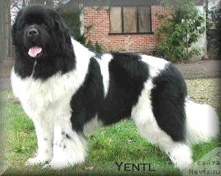 Фотография № 1085