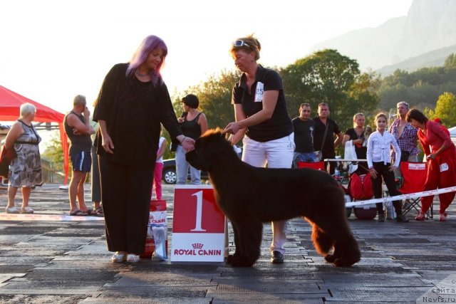 Фотография № 108501