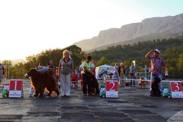 Фотография № 108502