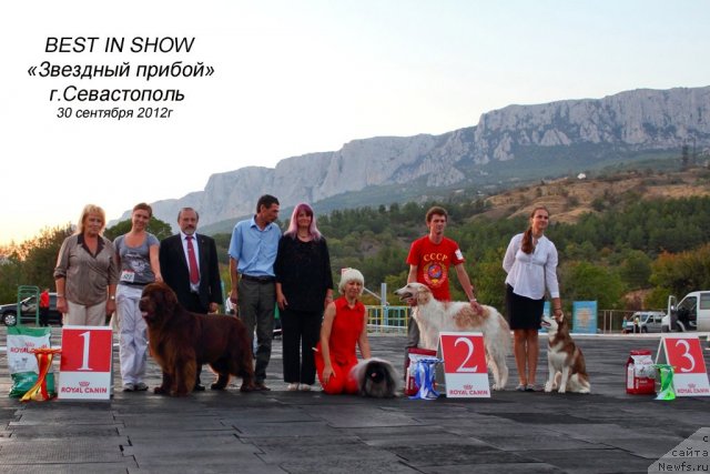 Фотография № 108504