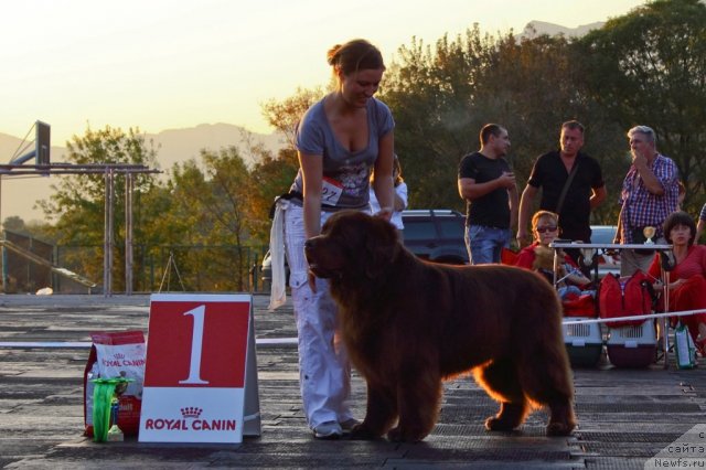 Фотография № 108507