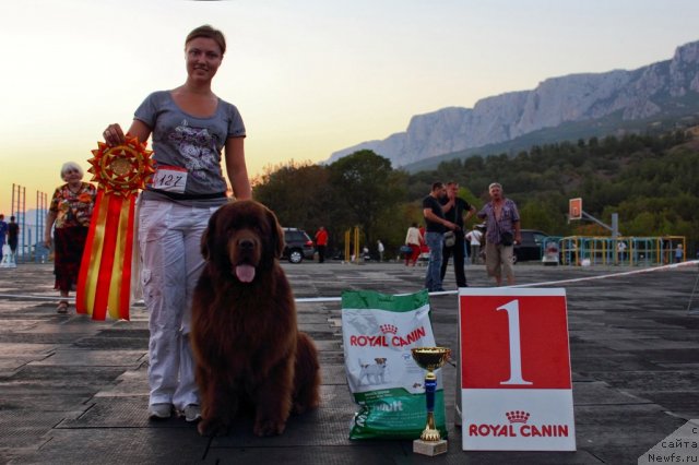 Фотография № 108508