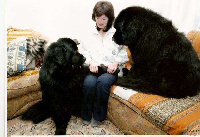 Фото: Lada Pavlikovskaya (Лада Павликовская)