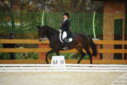 Фотография № 108527