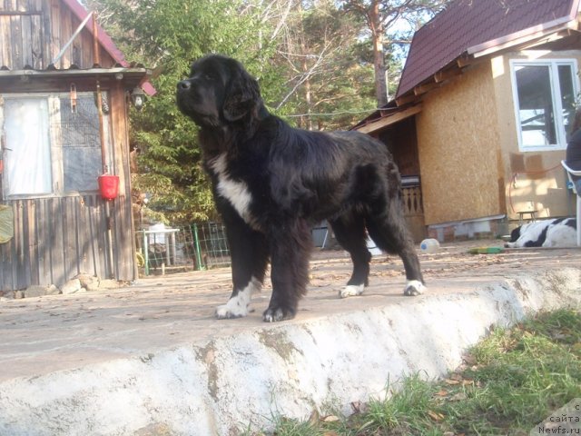 Фотография № 108550