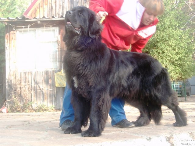 Фотография № 108556