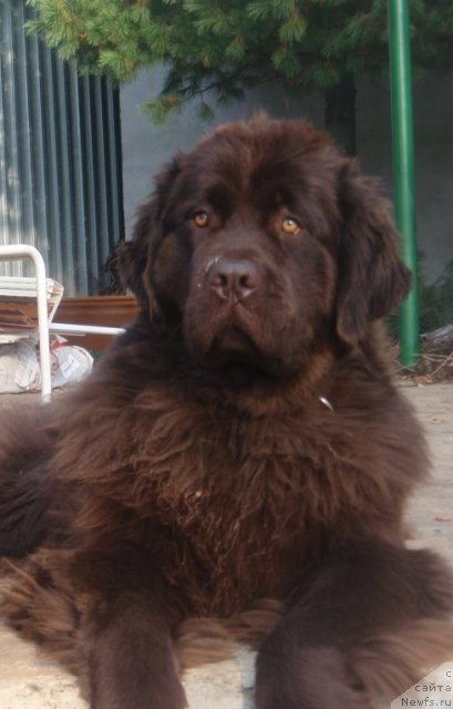 Фотография № 108557