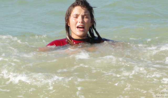 Фотография № 108581