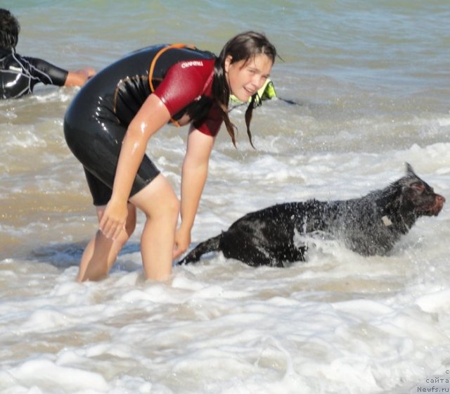 Фотография № 108582