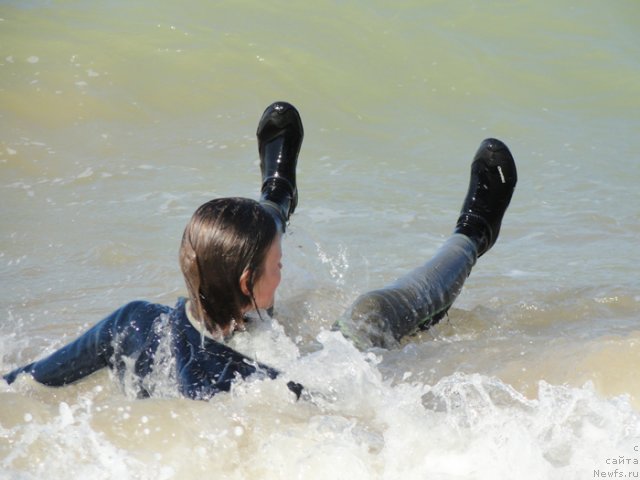 Фотография № 108588