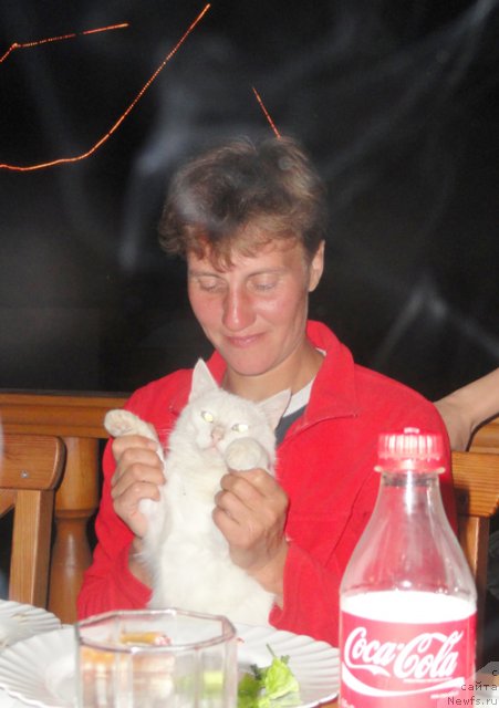 Фотография № 108596