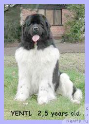 Фотография № 1086