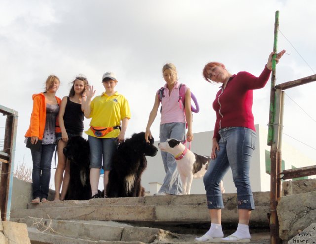 Фотография № 108609