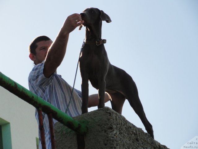 Фотография № 108617