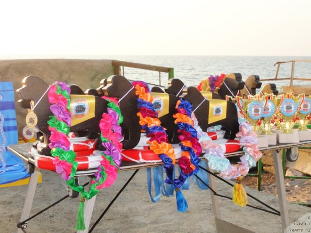 Фотография № 108619