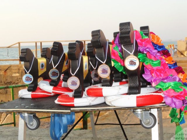 Фотография № 108620