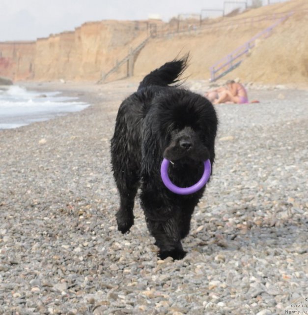 Фотография № 108643