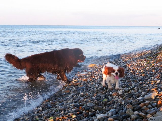 Фотография № 108684