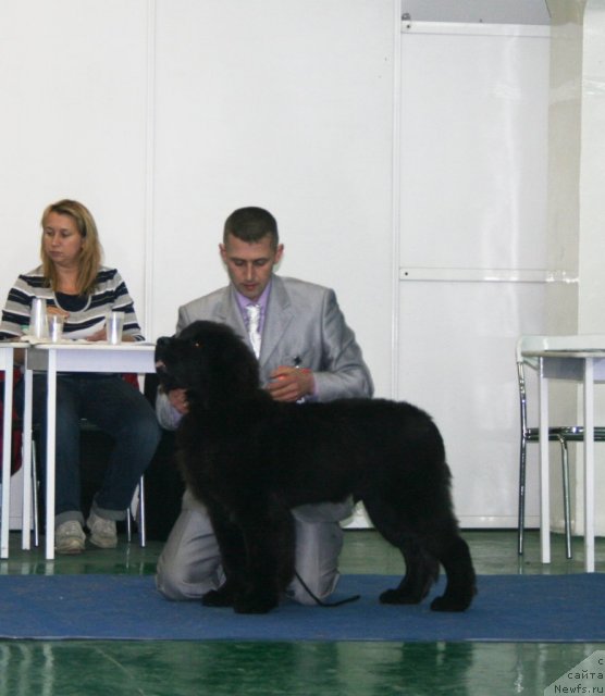 Фотография № 108729