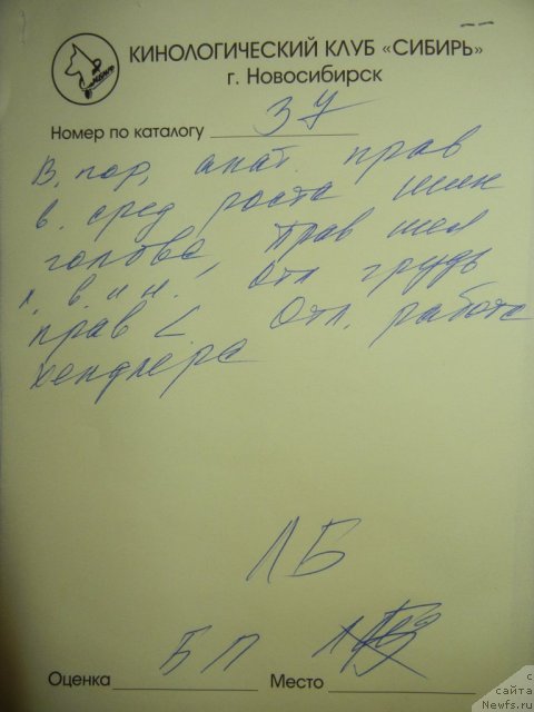 Фотография № 108735