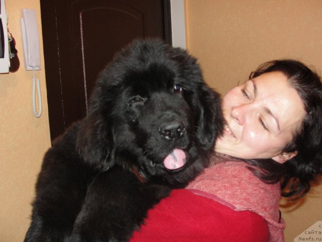 Фотография № 108800