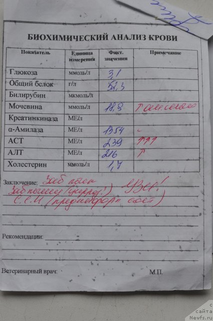 Фотография № 108862