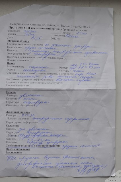 Фотография № 108863