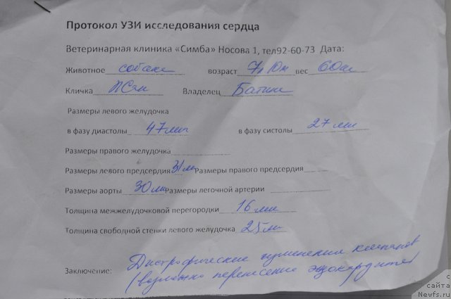 Фотография № 108864