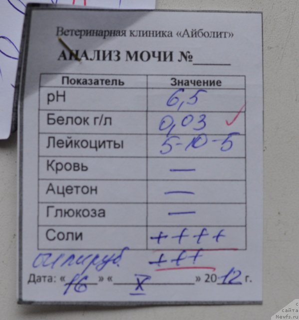 Фотография № 108865