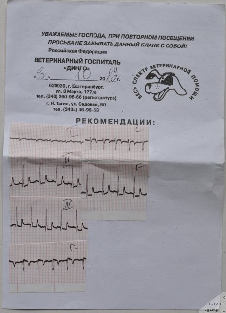 Фотография № 108867